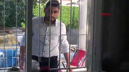 Açık pencereden eve giren kedi, bebek beşiğinde doğurdu