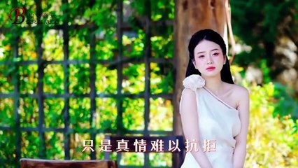 第28集｜DJ《一生不变的承诺》 #车载音乐dj音乐