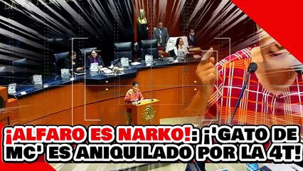¡ALFARO ES NARKO! ¡’GATETE de PEDANTE DELGADO’ es ANIQUILADO por la SENADORA NAKAMURA!