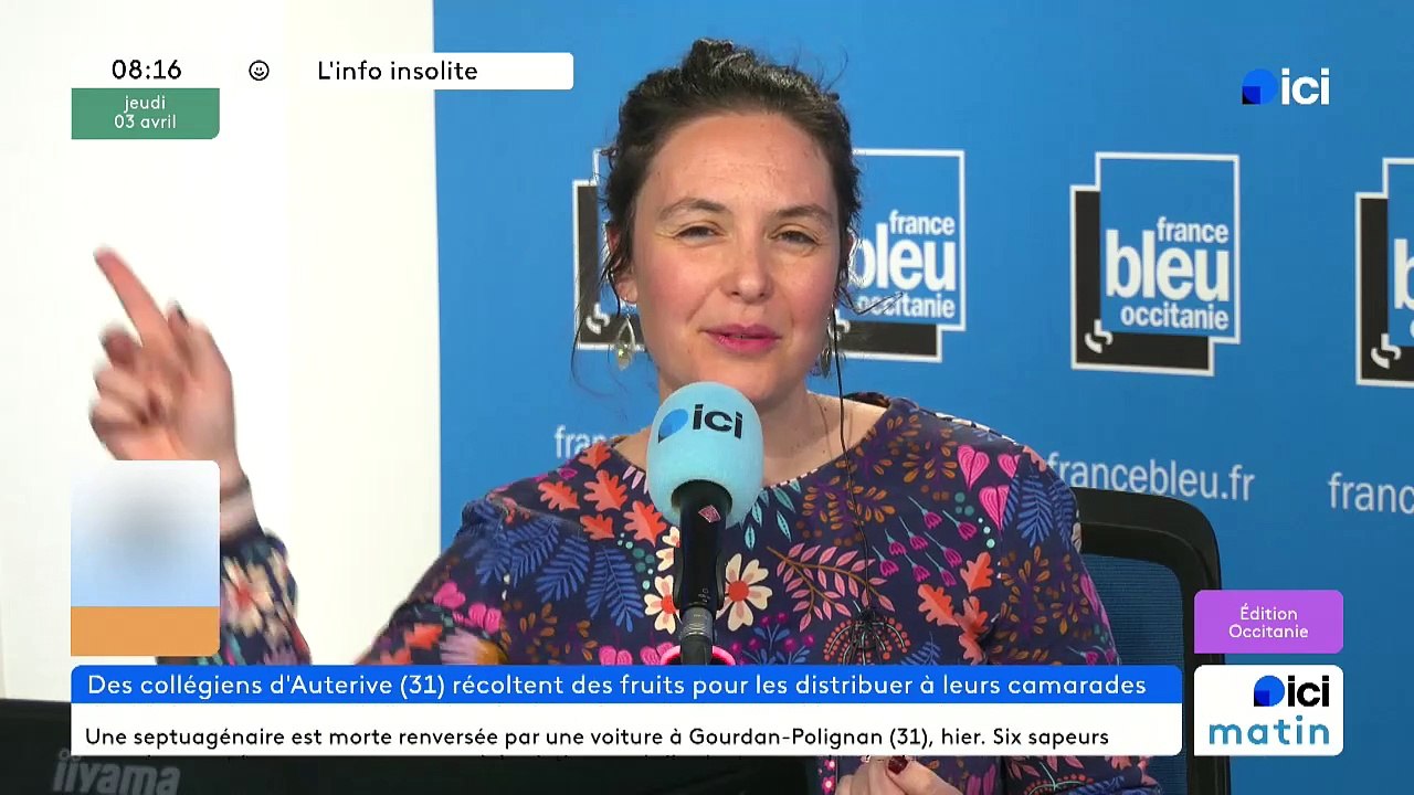 Des élèves de Segpa au sud de Toulouse sur le marché d'Auterive avec le Secours Populaire