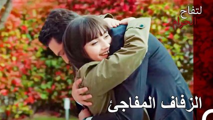 أنت سبب بريق عيني يا حبيبي - التفاح الحرام