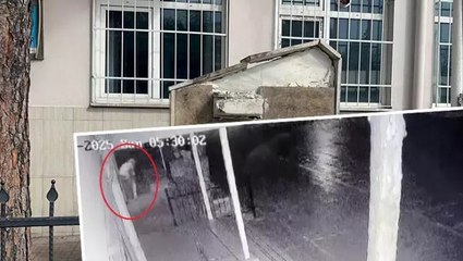 Bursa'da Atatürk büstünü çalan hırsız tutuklandı