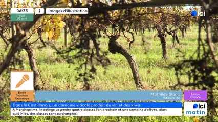 03/04/2025 - ici matin par ici Gironde en vidéo