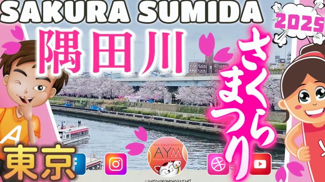 隅田公園 Sumida Koen すみだ 🌸 Tokyo Cherry Blossom in Asakusa Sumida Park 隅田川の桜 Sakura on Sumida-gawa River