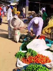 Hilarious collection The funniest prank collection Try not to laugh at the challenge