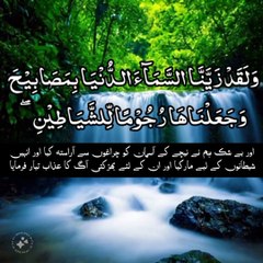 Quran Recitation with Urdu translation |  Mohamed Al Fekih