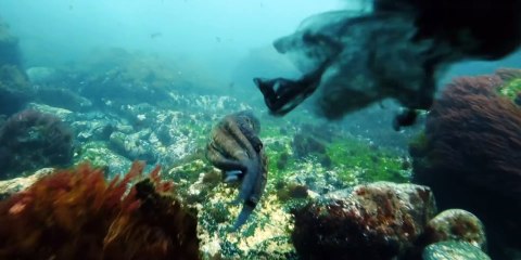 Kantauri - Official Trailer 🎬