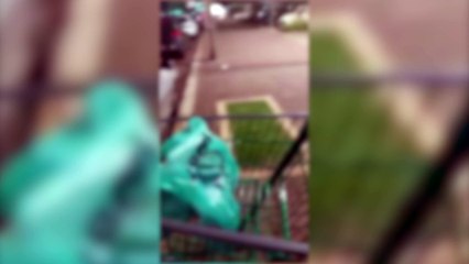 Perseguição em solo e ar resulta em apreensão de veículo furtado, abarrotado de maconha