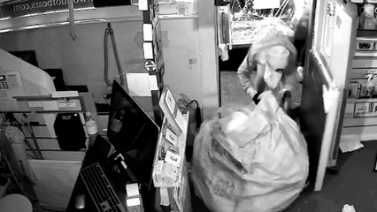 Jellycats and Charlie Bears worth £20K stolen from shop by ram raiders