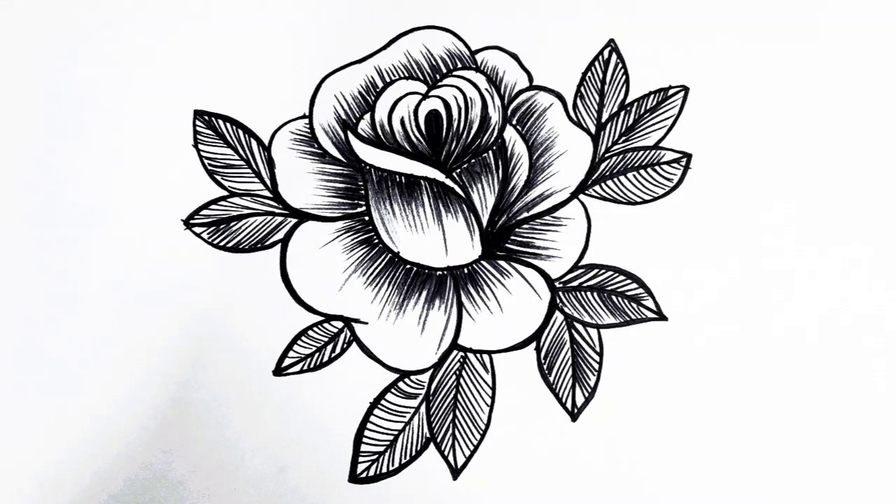 How to draw a rose __ Easy flower drawing tutorial for beginners