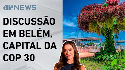 Árvores artificiais geram debate sobre sustentabilidade; Patrícia Costa comenta