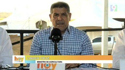 Limber Cruz "El incremento de aranceles puede ser beneficio para RD" | Hoy Mismo