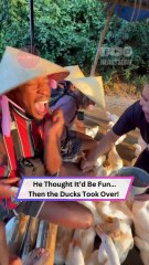 When Ducks Take Over Your Vacation…😂🦆 | Heartsome 💖
