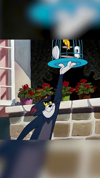 tom and jerry carton
