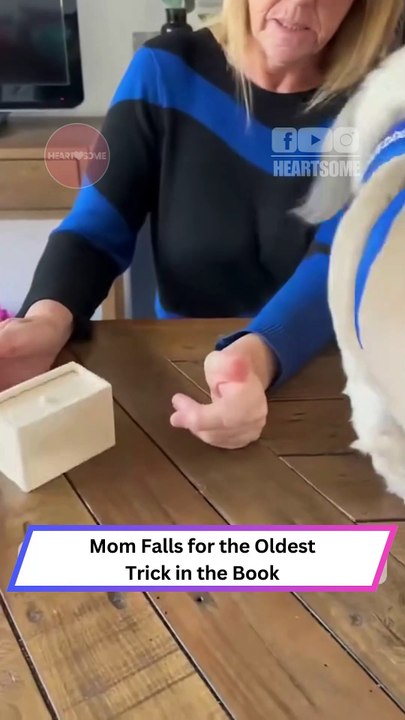 Epic Fake Spider Prank on Mom! 😂 | Heartsome 💖