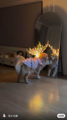 fallow me on Instagram and Facebook