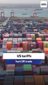 Former UK diplomat: Tariffs will harm UK exports