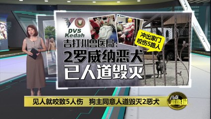 冲出家门咬伤5人！狗主同意人道毁灭两只恶犬 🐕