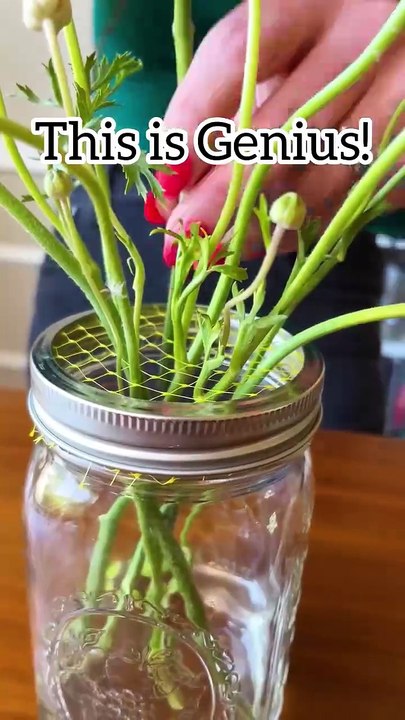 Flower Secrets You Need to Know! 💐
