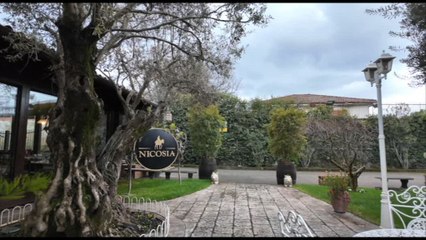 HaliveOS: il nuovo volto della tecnologia presentato da WiC