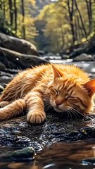 Panda rescues kitten