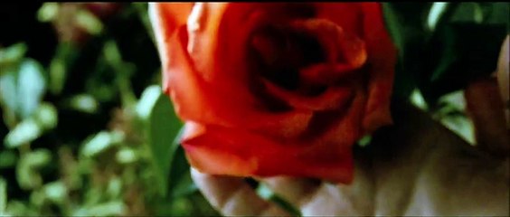 A Single Man (2009) - Bande annonce