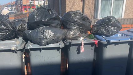 ‘Rats the size of my arm’: Horrified Birmingham residents plead for end to bin strikes
