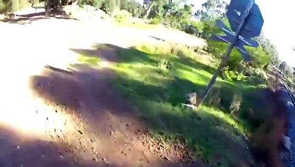 بالفيديو والصور- أفشل عملية سطو