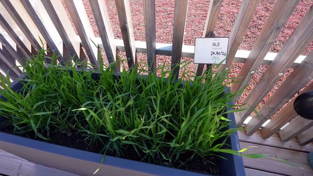 Crédit Agricole : Inauguration Pacifica