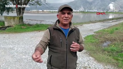 Söke Ovası'nda suyla dolan tarlalara flamingo dopingi