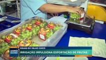 Irrigação impulsiona exportação de frutas