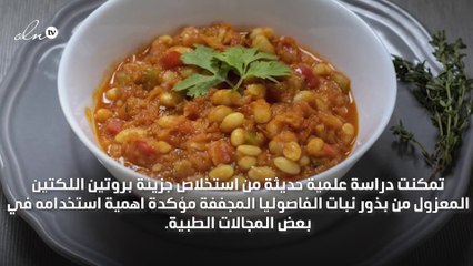 بروتين اللكتين في الفاصوليا مفيد لصحتك