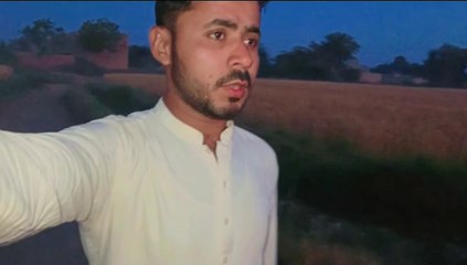 "Morning Bliss: Exploring the Village Weather Every Day"