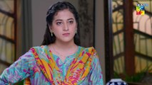 Pehli Mohabbat - Episode 01 - 3rd April 2025 - [ Noreen Gulwani  Ibrahim Ali Alavi ] - HUM TV