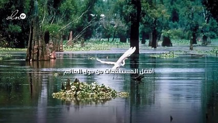 أفضل المستنقعات من حول العالم