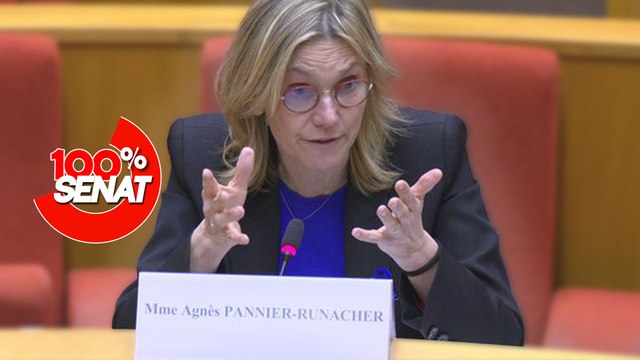 100% Sénat - Eaux en bouteille : audition de l'ancienne ministre de l'industrie