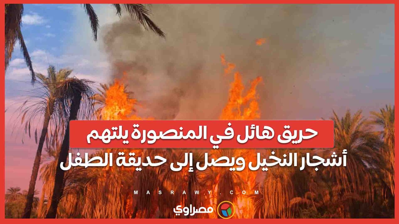 حريق هائل في المنصورة يلتهم أشجار النخيل ويصل إلى حديقة الطفل