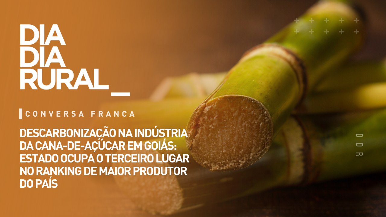 Descarbonização na indústria da cana-de-açúcar em Goiás: estado ocupa o terceiro lugar no ranking de maior produtor do país