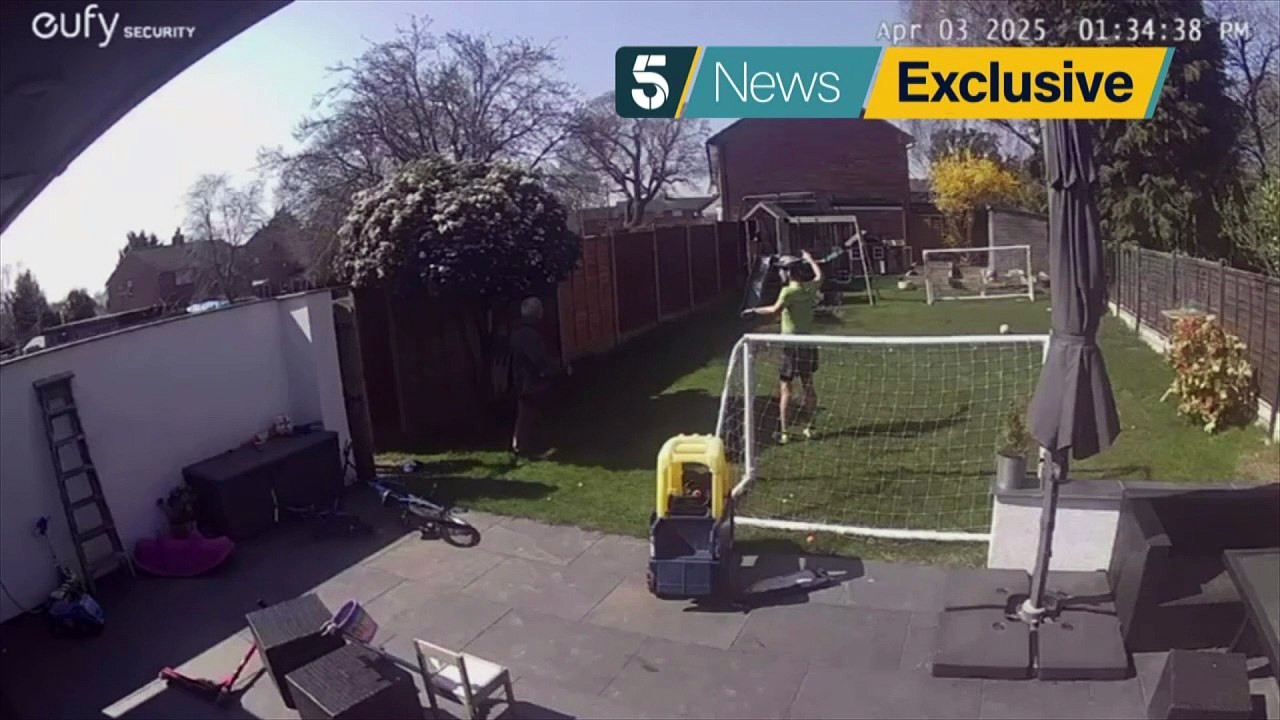 Camera catches terrorising hawk being captured
