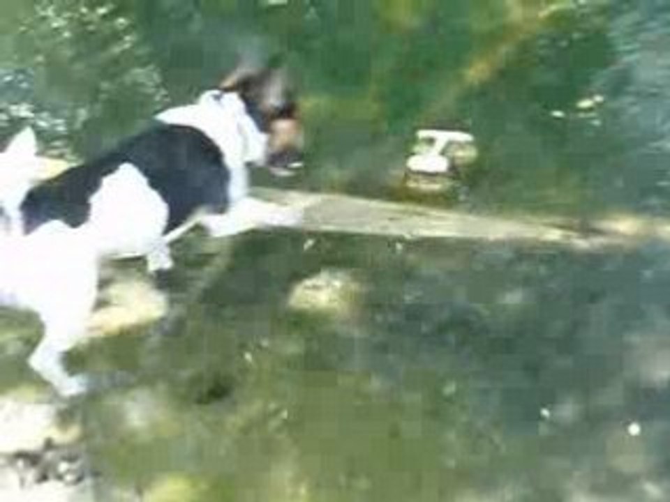 Astuce en bord de rivière ...