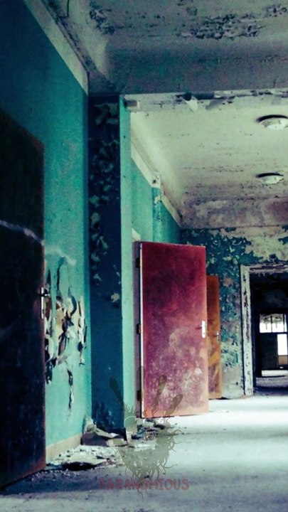 Paranormal Activity #47