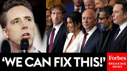 Josh Hawley Expresses Concern Over America's 'Somewhat Suspect' Antitrust Law