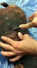 بالفيديو.. رجل ثراث يكشف عن أقدم طريقة لحفظ التمر 100 عام