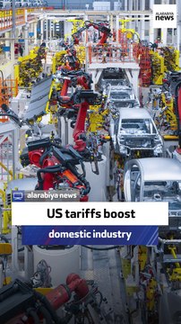 Republican strategist: Tariffs shield US market
