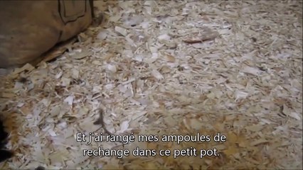 Sa poule bosse pour EDF et couve... des ampoules