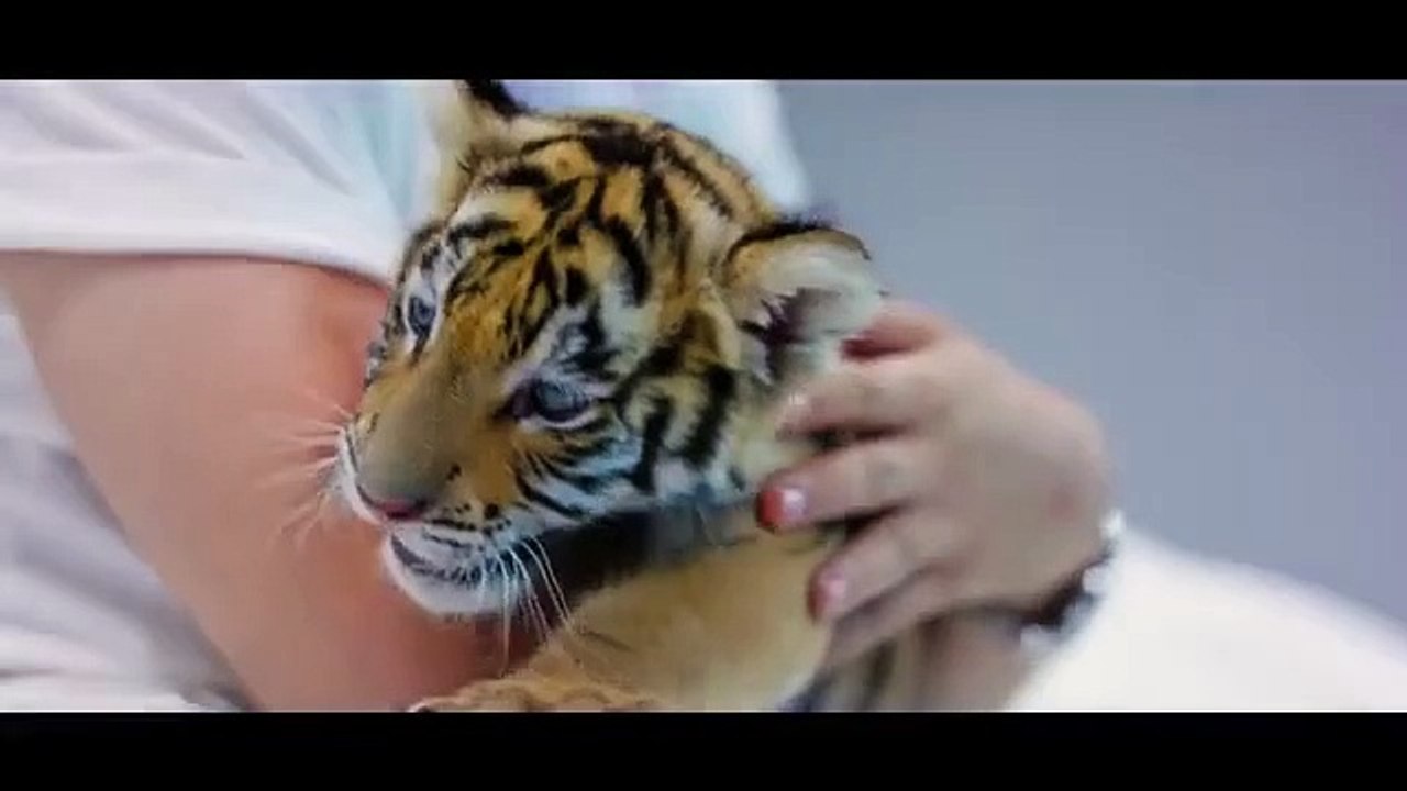 عودة قويّة لسعد لمجرد بعد أزمته في فرنسا ورسالة للفتاة التي قامت بتوريطه