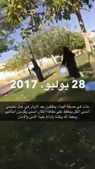 بالفيديو .. فتيات سعوديات يتطوعن لتنظيف الحدائق العامة