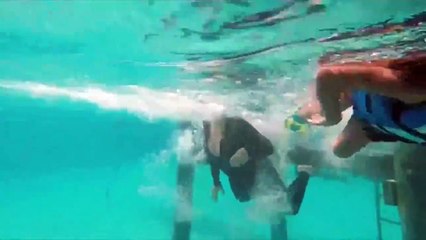 ماريا كاري تسبح وسط القروش مع أطفالها