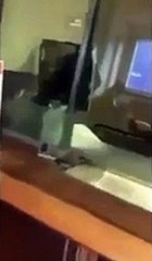 مكتب صرافة بلندن يرفض تحويل مبلغ بالعملة القطرية لمواطن قطري