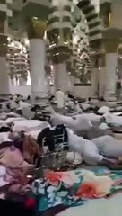 ⁠⁠⁠فيديو: بسبب الباكستانيين لن تستطيع الصلاة أو الدخول للمسجد النبوي!